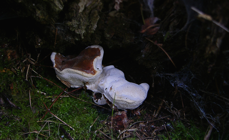 Qualcosa si muove...